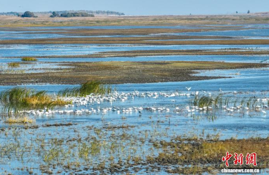 10��16�գ�����ĪĪ����Ҽ���Ȼ���o(h��)�^(q��)��(n��i)�������ڑ�ˮ��(�o�˙C(j��)��Ƭ)�w��� �z