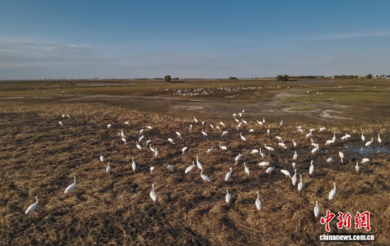 10��16�����ڼ���ĪĪ����Ҽ���Ȼ���o(h��)�^(q��)��(n��i)���Q����Ϣ��(�o�˙C(j��)��Ƭ)�w��� �z