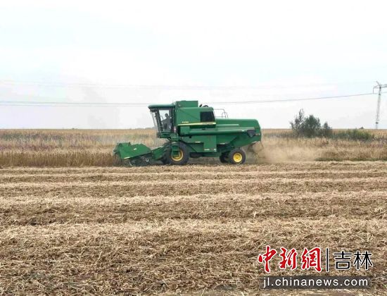 �R����/���D