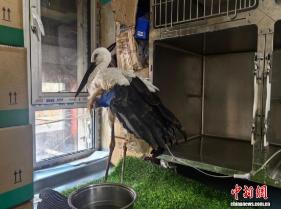 �܂��Ė|�����X���ڽ����ί�����ʯ���� �z