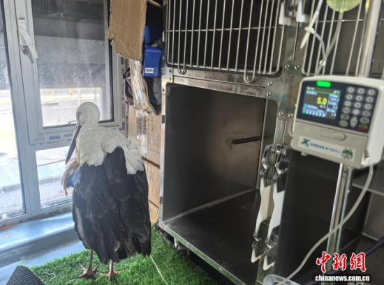 �܂��Ė|�����X���ڽ���ݔҺ�ί�����ʯ���� �z