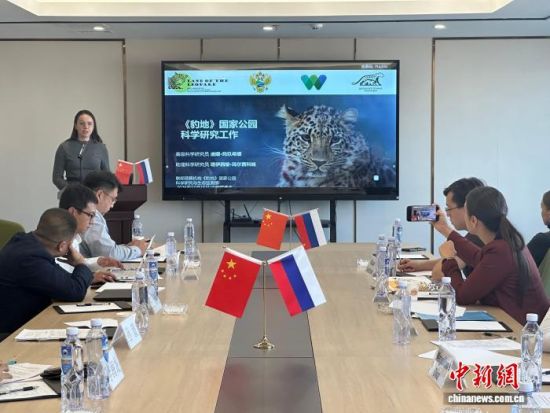 ���_˹���ҷ������o(h��)�|������(j��ng)�(y��n)�������� �z