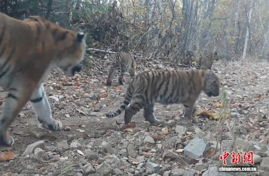 2025���ږ|���������ҹ��@�Ĕz���Ė|������(��ҕ��ý���D)