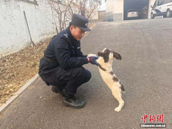 ���Ҳ������c�[�����B(y��ng)�H�ܶȡ���ʯ���� �z