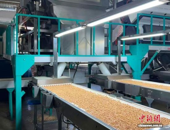 �������a(ch��n)����(�L(zh��ng)�����P(gu��n)���D)