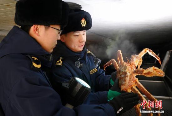 �L�����P(gu��n)���٬q�����P(gu��n)�P(gu��n)�T���M(j��n)�ڵ���з�_չ��򞹤�����̽��V �z