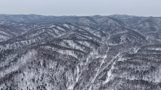 ���AƤ���(zh��n)ĵ���X�� �������ý�w���Ĺ��D