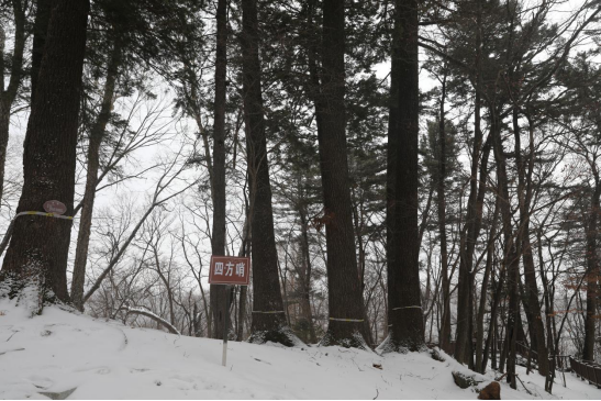 �ķ��������ڵ��� �������ý�w���Ĺ��D