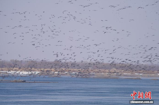 �B��^�������Ժ��������� �z