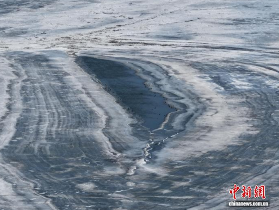 3��16�գ������(zh��n)�l�������������ڣ����BͣЪҒʳ���������� �z