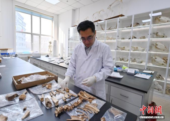 3��20�գ������L�����̴�������ӱ��������� �z