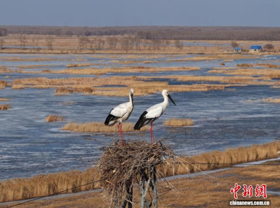 3��16�գ������(zh��n)�l��һ��(du��)�|�����X��ĪĪ���صĳ����������������� �z