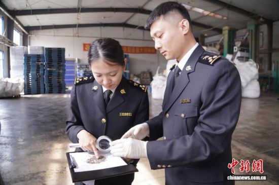 �L��ɽ���P�P�T�_չ�����K�Ѳ�򞡣�L�����P���D