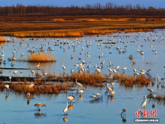 4��11���������(zh��n)�l�����Q����ϡ�B���ĪĪ����Ғʳ���������� �z