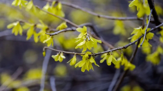 �zӰ��/������