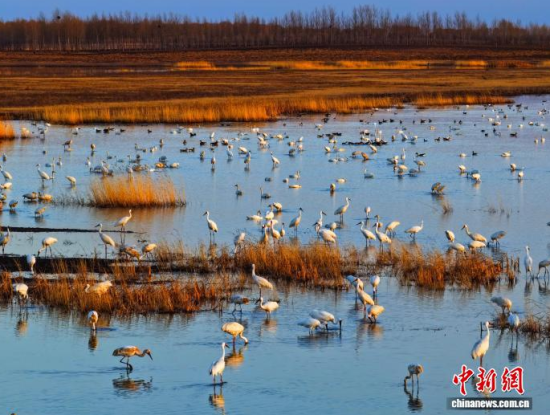 4��11�գ������(zh��n)�l�����Q����ϡ�B���ĪĪ����Ғʳ���������� �z